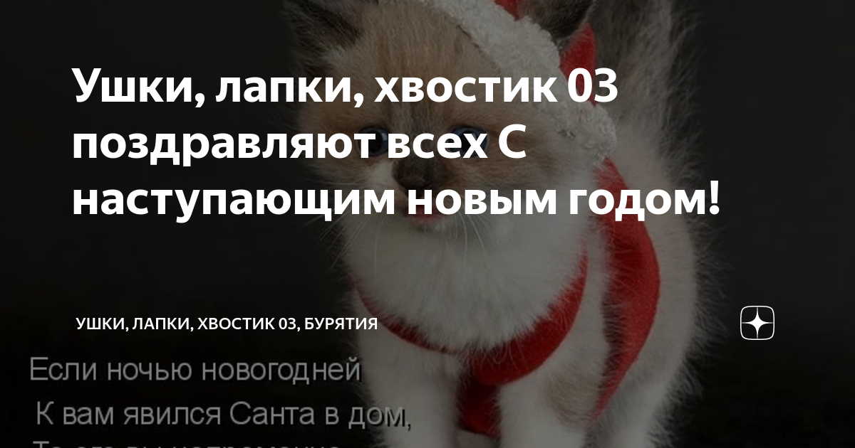 Ушки, лапки, хвостик 03 поздравляют всех С наступающим новым годом ...