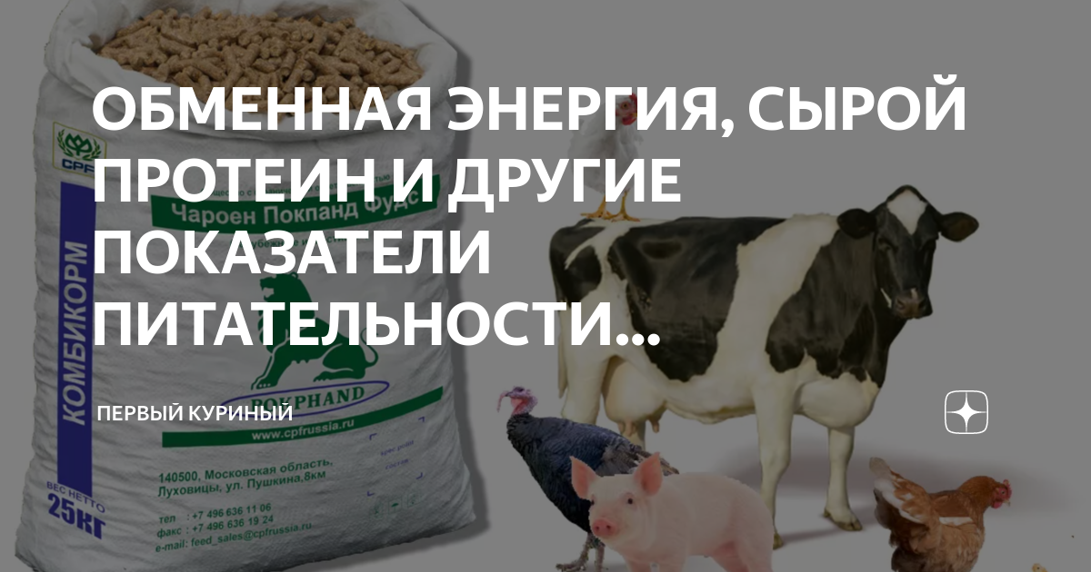 сколько протеина в одном курином яйце