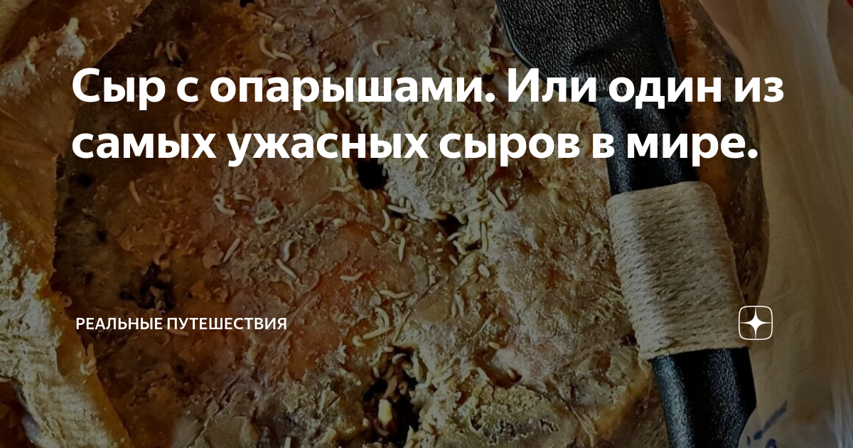 Сыр с опарышами. Или один из самых ужасных сыров в мире. | Реальные ...