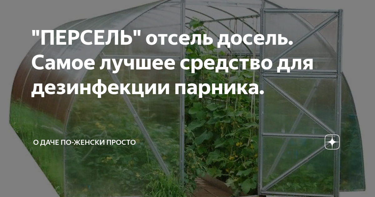 Персель6 для теплиц. Средство для обработки теплицы. Средство для обработки теплицы весной. Устройство для обработки теплиц. Персель 6 инструкция по применению для теплиц