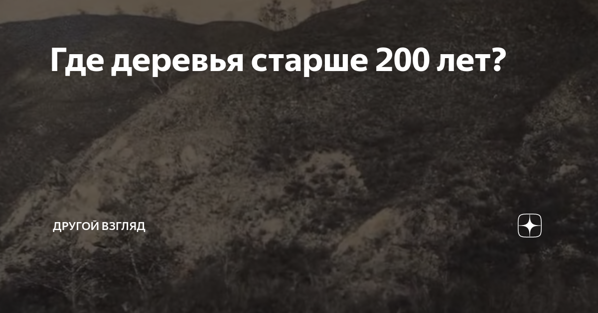 Вы не поверите, но нашим лесам не более 130 лет. Почему?