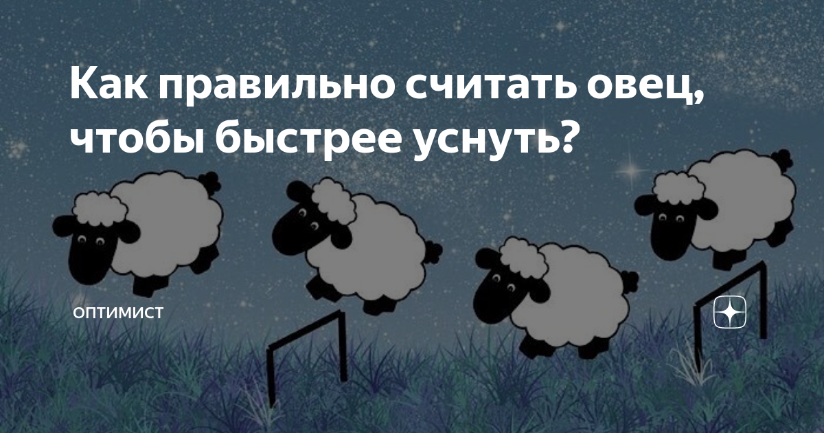 Откуда считаешь. Овечки перед сном. Считать овец. Считать овечек перед сном. Овцы перед сном.