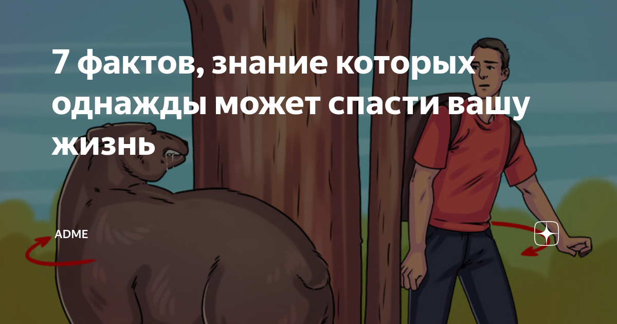 Факты которые могут спасти вашу жизнь. Факты которые спасут вам жизнь. Факты которые спасут вам жизнь. Как привести человека в чувства. Факты которые спасут вам жизнь.