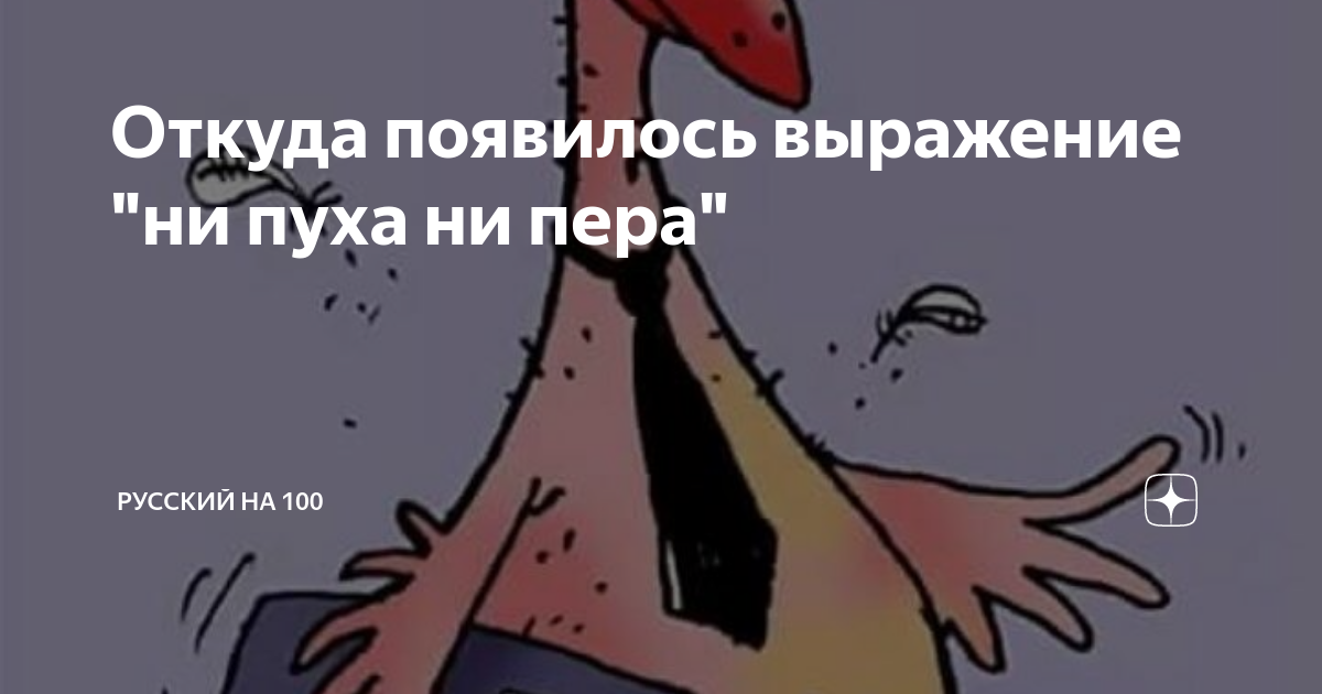 Ни пуха ни пера. Крылатое выражение ни пуха ни пера с иллюстрациями. Откуда выражение ни пуха ни пера. Фраза не пуха не пера.