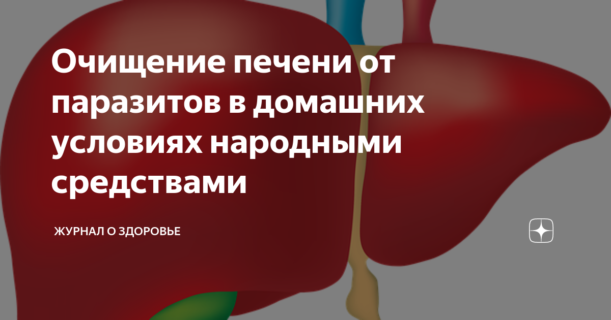 Чистка печени: когда необходима и как сделать в домашних условиях