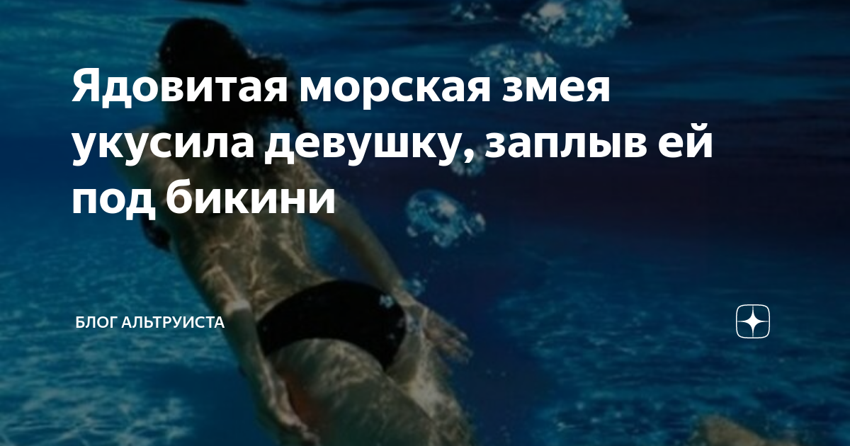 самая ядовитая морская змея