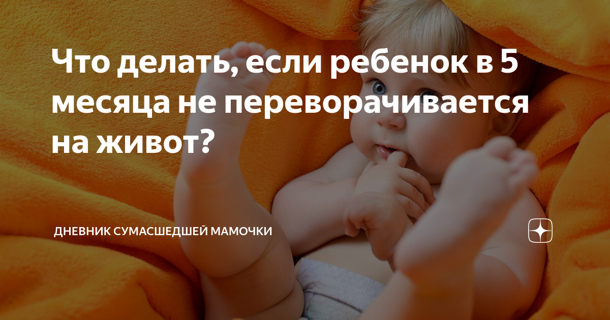 В 6 месяцев не переворачивается на живот — 12 ответов | форум Babyblog