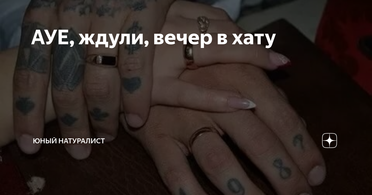 Как правильно входить в хату. Вечер в хату АУЕ. Статья за АУЕ И вечер в хату. Вечер в хату Меладзе.