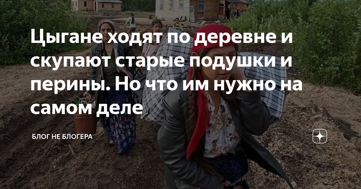 Иди на цыганском. Зачем цыгане ходят по домам скупают старую бытовую.