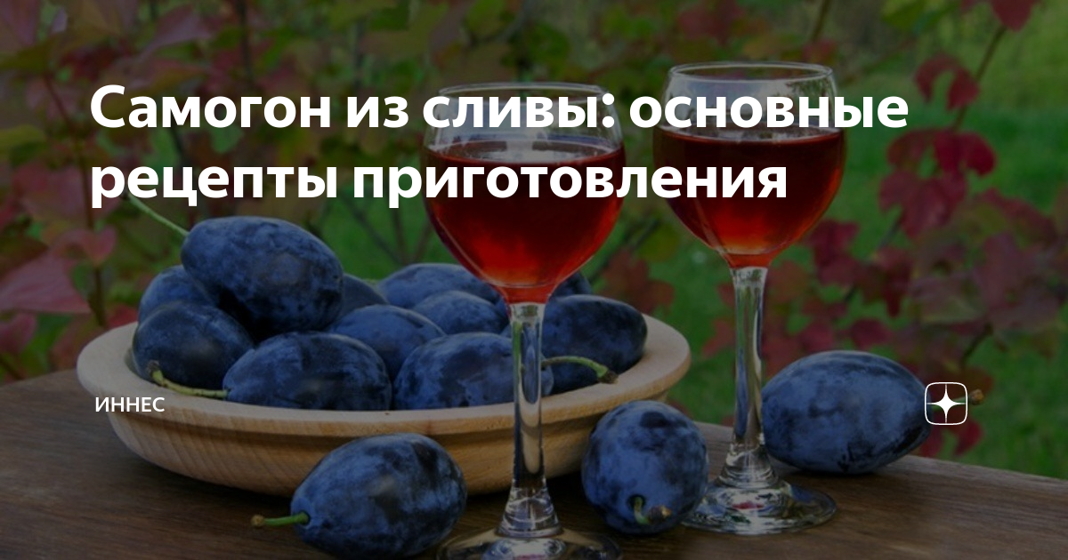 Настойка из сливы: как сделать сливовую наливку в домашних условиях