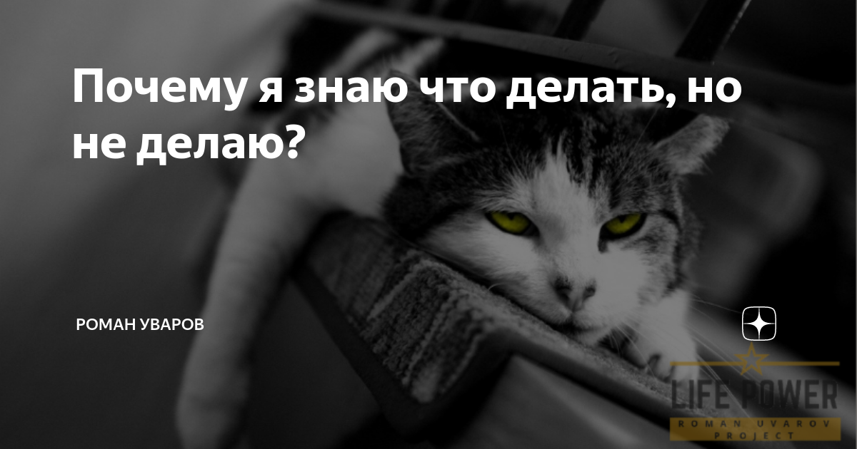 Юрий Бузиашвили: Жить надо руководствуясь принципами - Российская газета