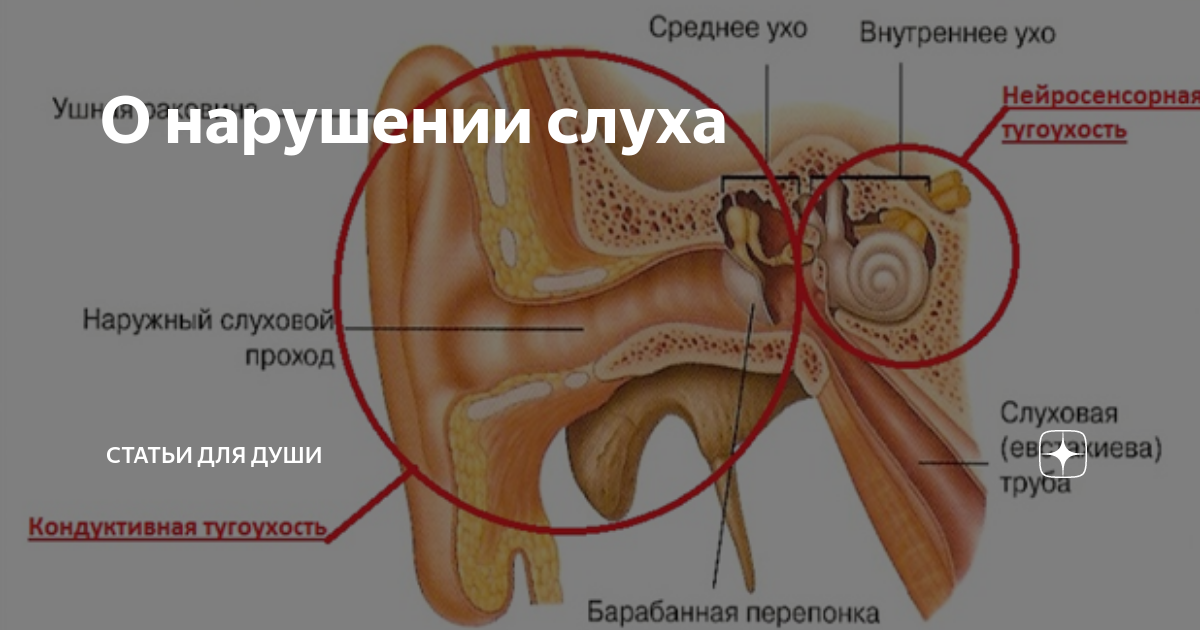 Зияние слуховой трубы на кт. Зияние евстахиевой трубы. Проходимость слуховой трубы.