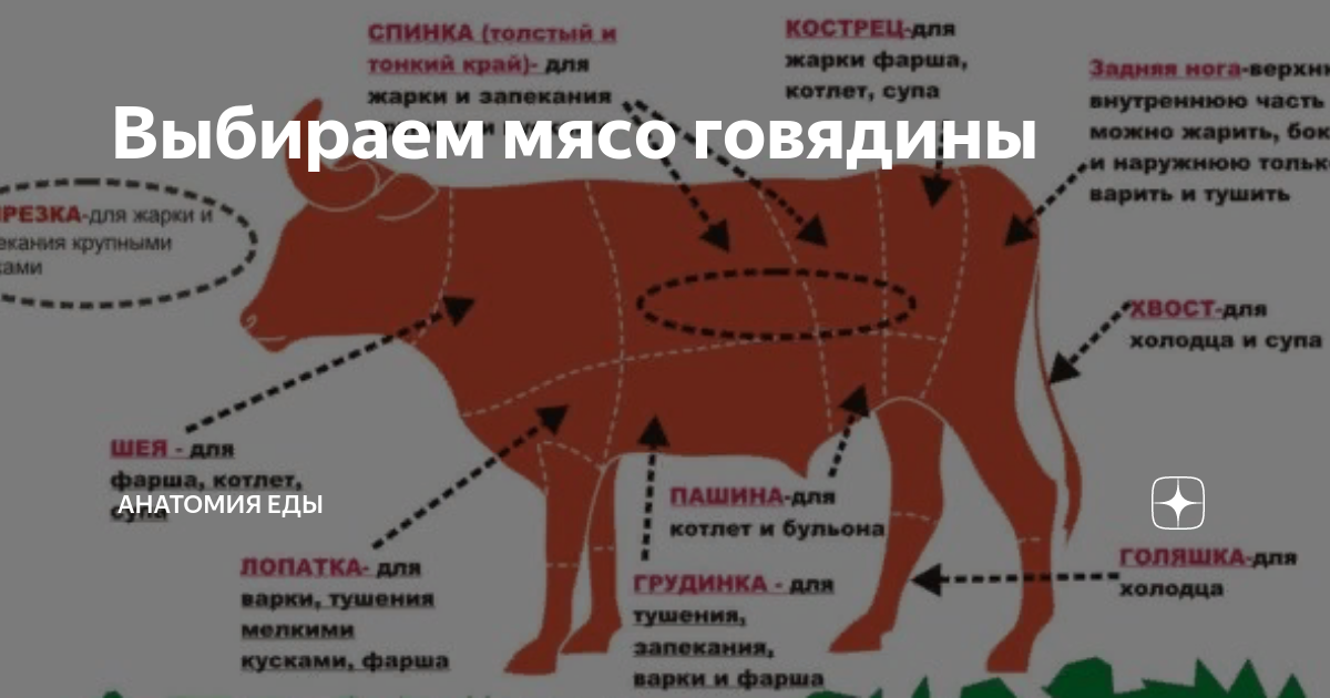 Какое мясо говядины хорошее. Части говядины. Части говяжьего мяса. Говядина какие части. Толстый край говядины на схеме.