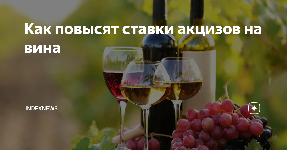 Как правильно пить грузинское вино. Ставка акциза на вино