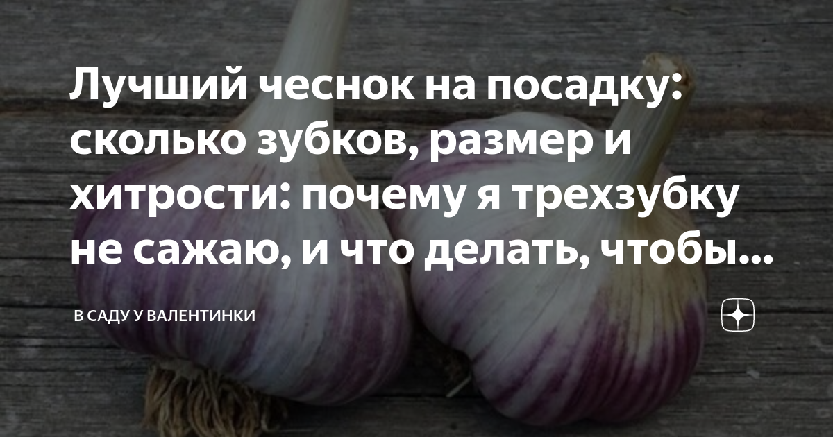 Заговор на чеснок. Хочется лук и чеснок. Сколько нужно чеснока для посадки. Хочется чеснока причины.