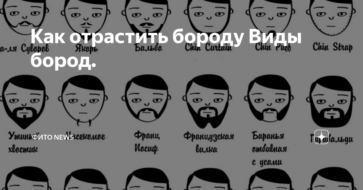 Как правильно отрастить бороду с нуля. Как правильно отрастить бороду с нуля