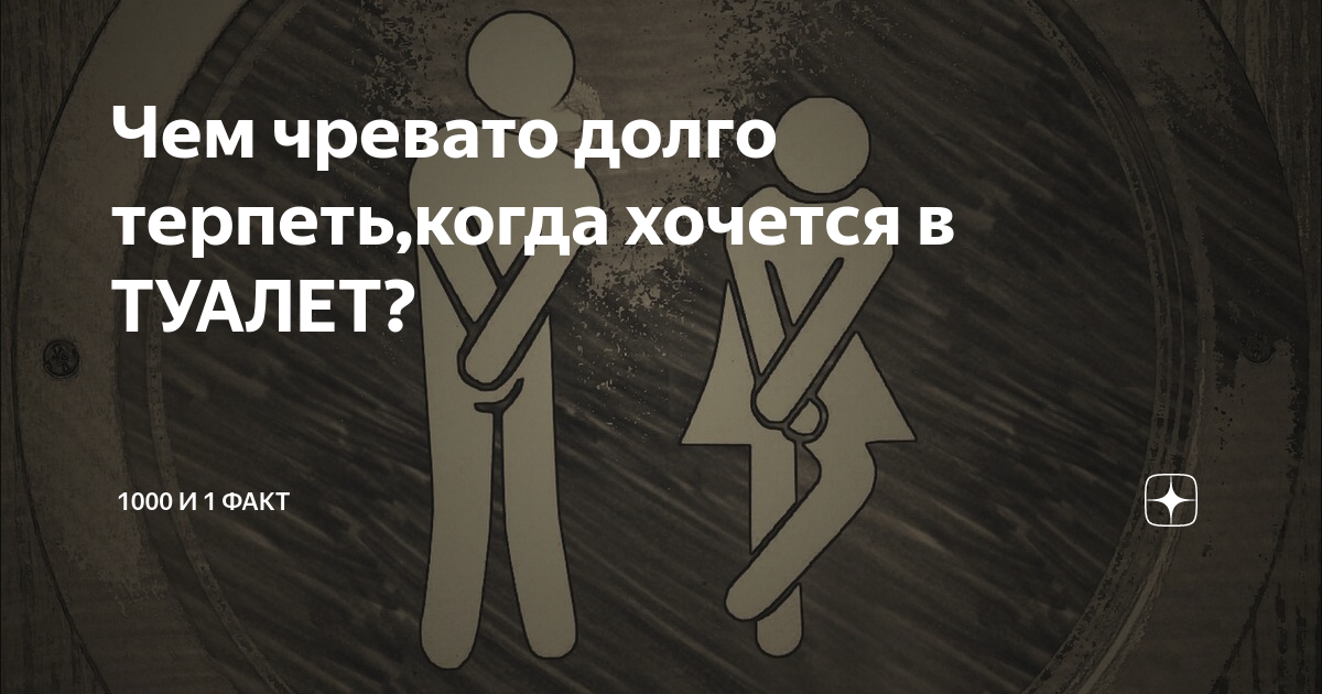 Что делать если сильно хочется по большому. Почему нельзя терпеть. Что делать если хочется в туалет по маленькому. Как терпеть в туалет по маленькому. Что будет если терпеть по маленькому.