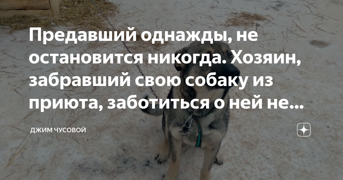 И не останавливаются ни