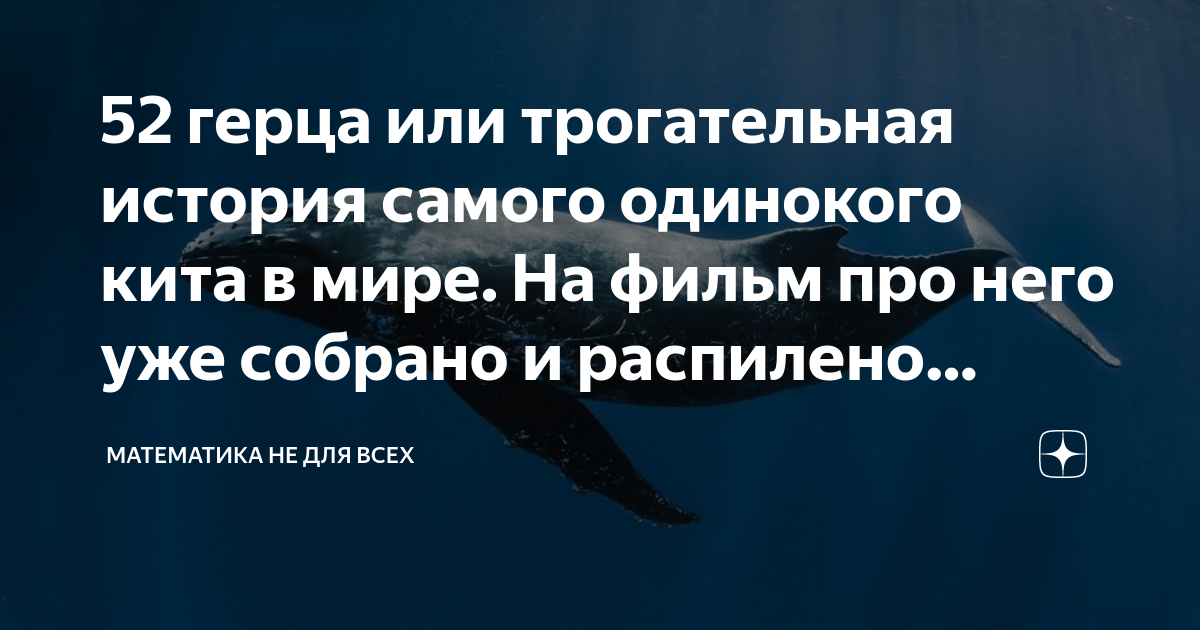 52 герца или трогательная история самого одинокого кита в мире. На ...