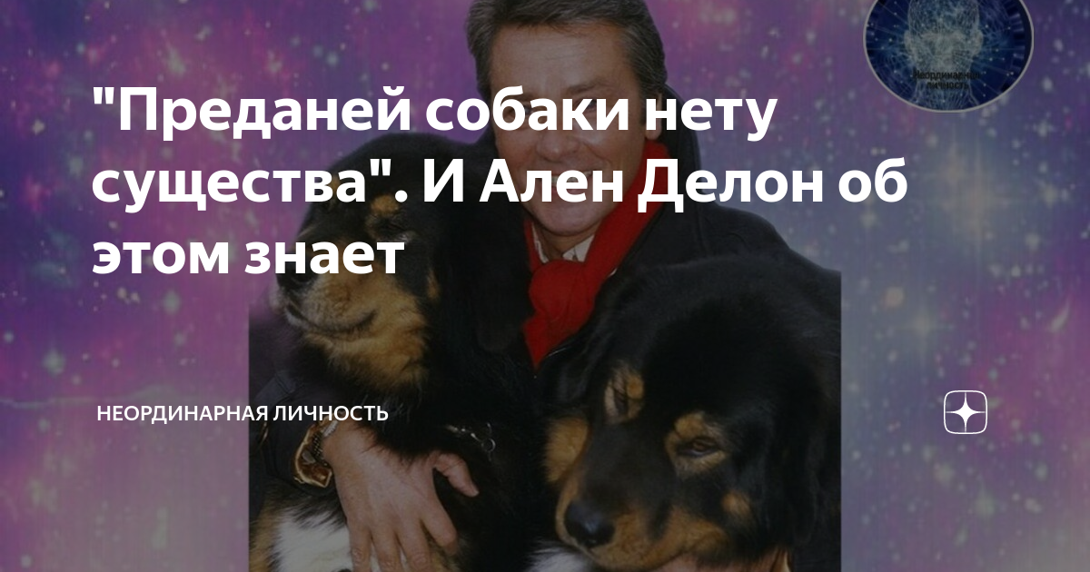 Преданный собаки нету существа. Преданней собаки нету существа текст.
