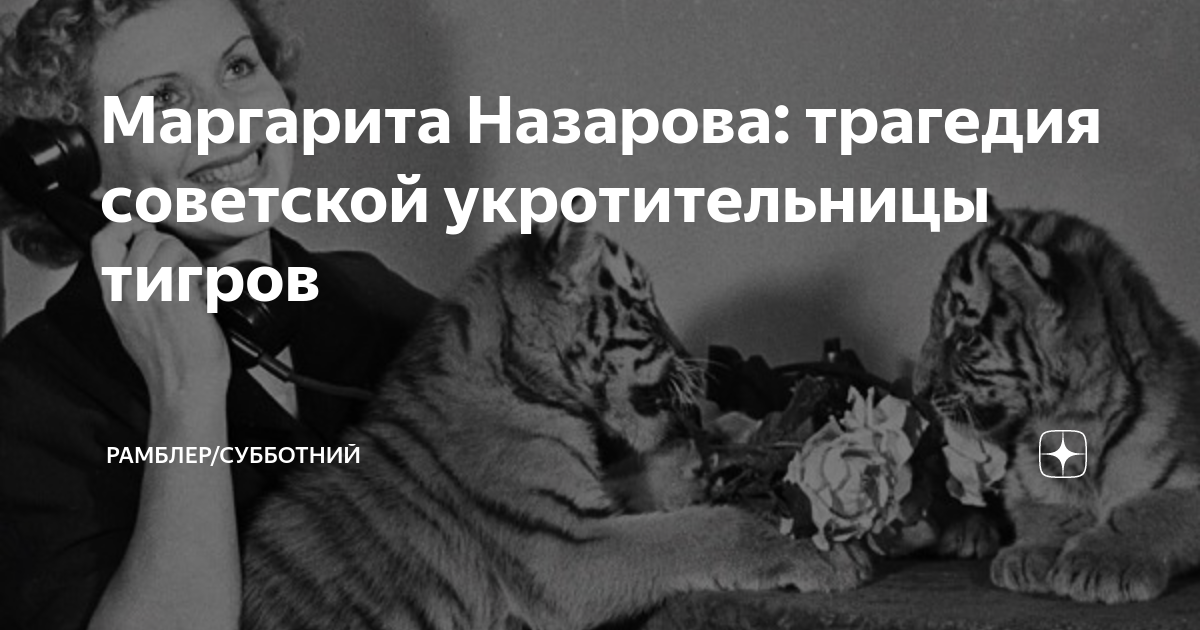 Укротительница в путешествие по сбору питомцев. Слабейшая Укротительница в путешествии по сбору питомцев. Слабейшая Укротительница.