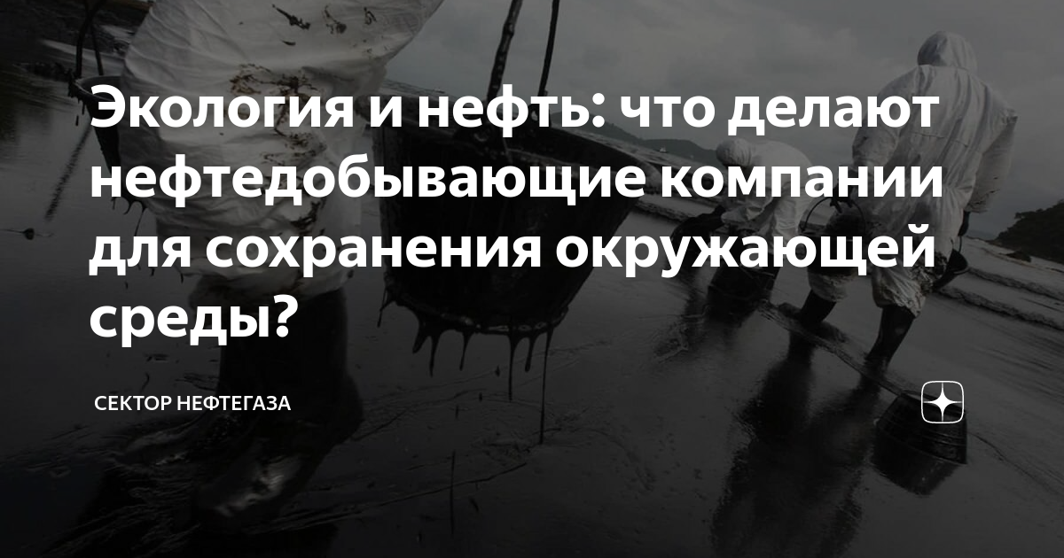 Сохранение окружающей среды и природы человеком: что может сделать каждый?