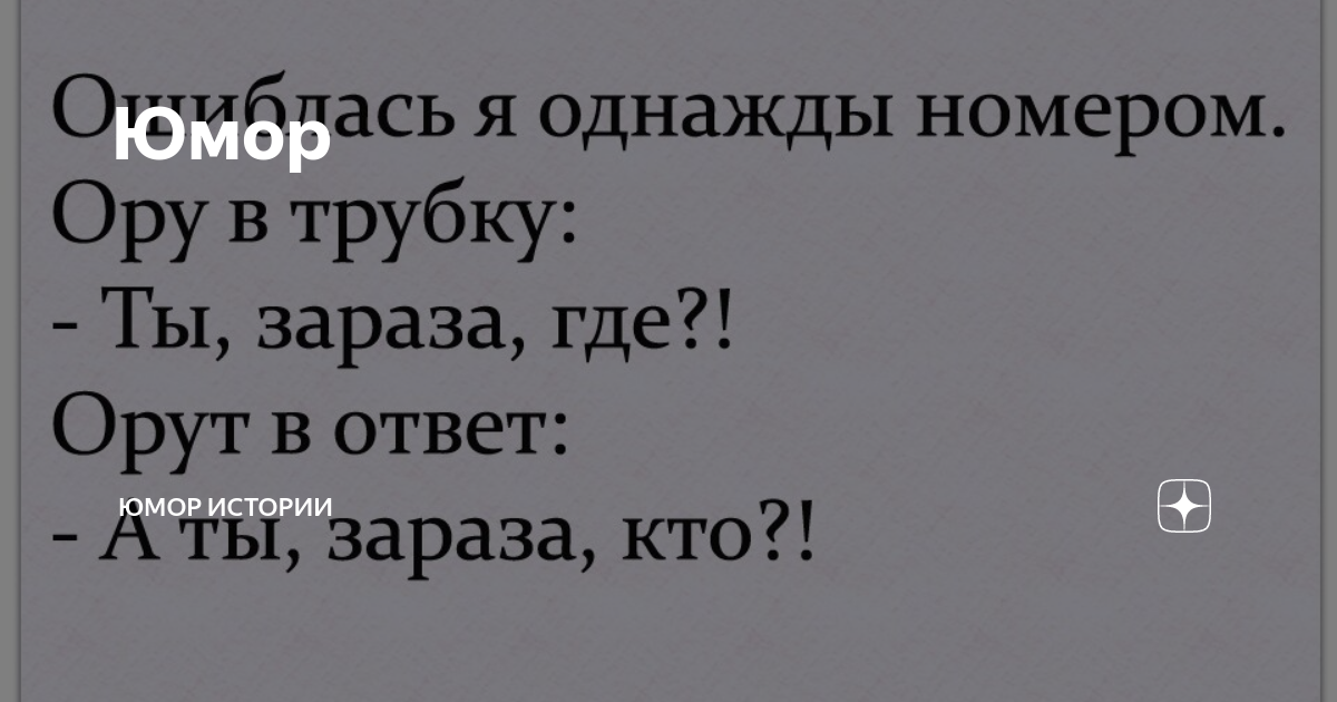 На чем основывается юмор рассказа жизнь. Лена юмор.