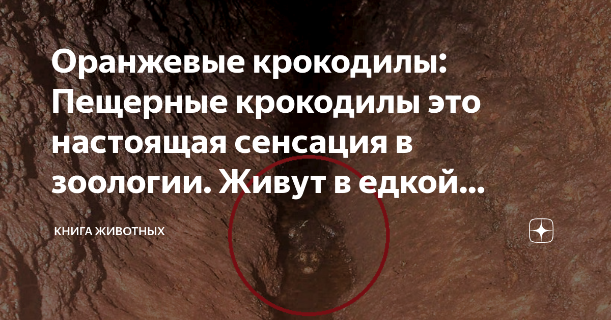 аст настоящая сенсация. "слова на стене". уолтон д. слова на стене книга. дени аткинс виновата любовь.