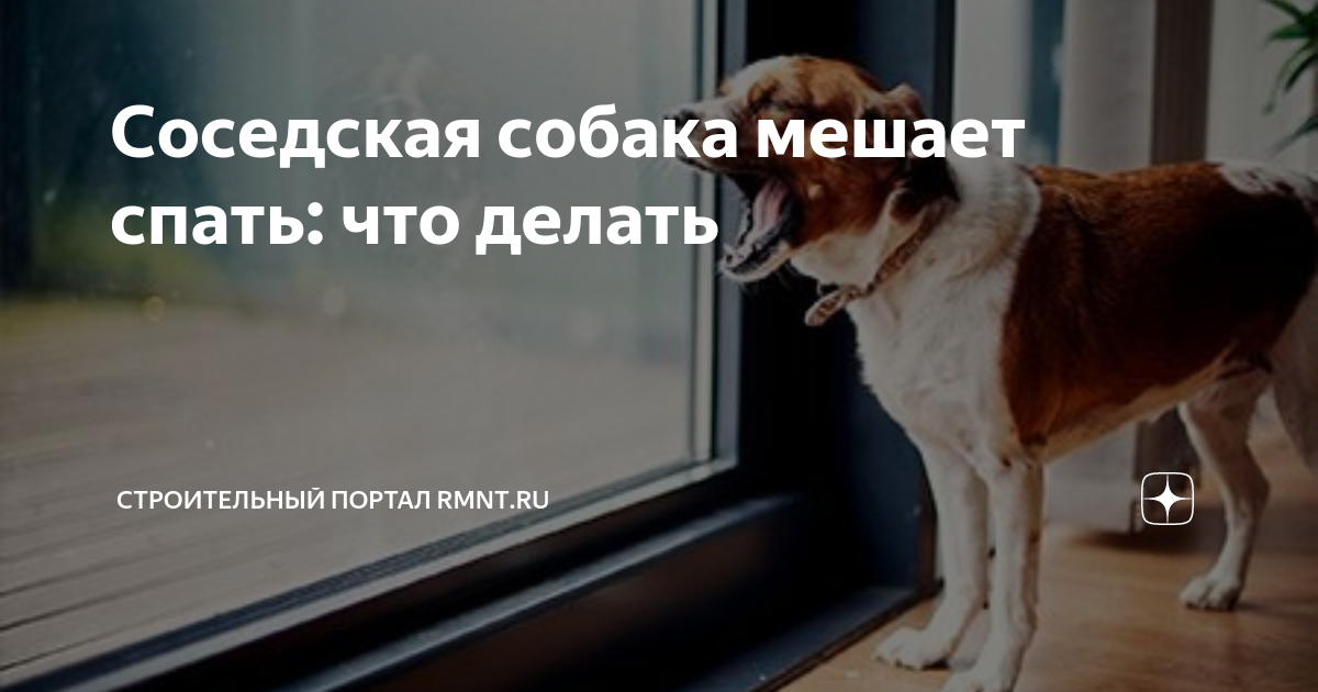 Собаки мешают спать. Как отучить собаку лаять. Как отучить собаку лаять дома. Как отучить собаку гавкать. Собака лает в квартире