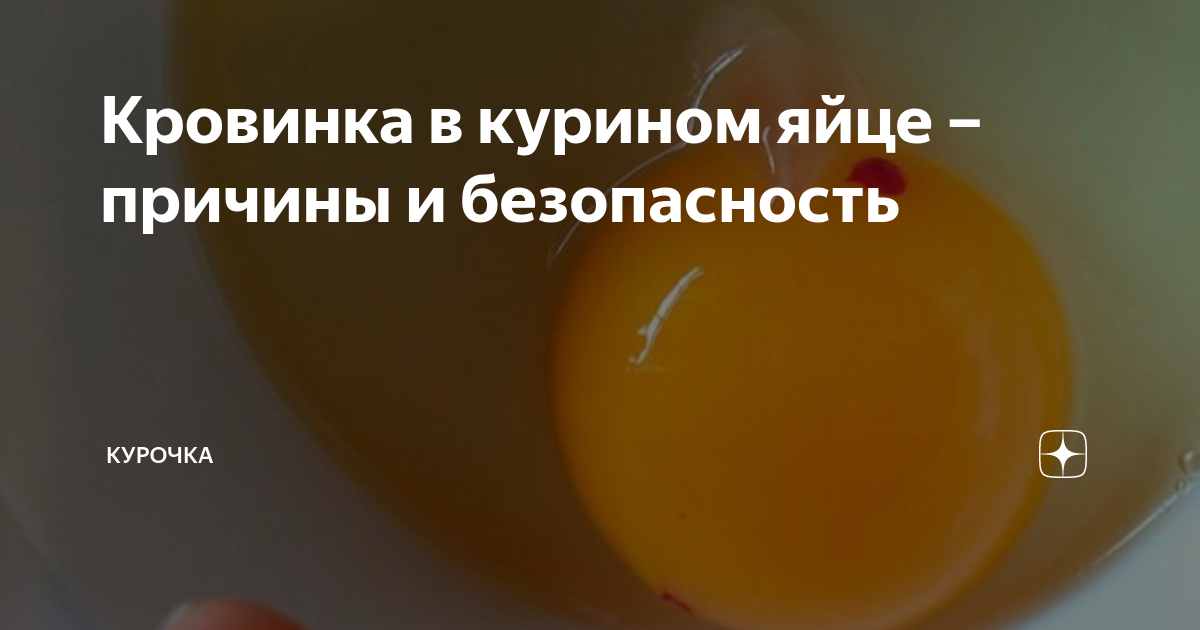 Почему в куриных яйцах пятна крови?