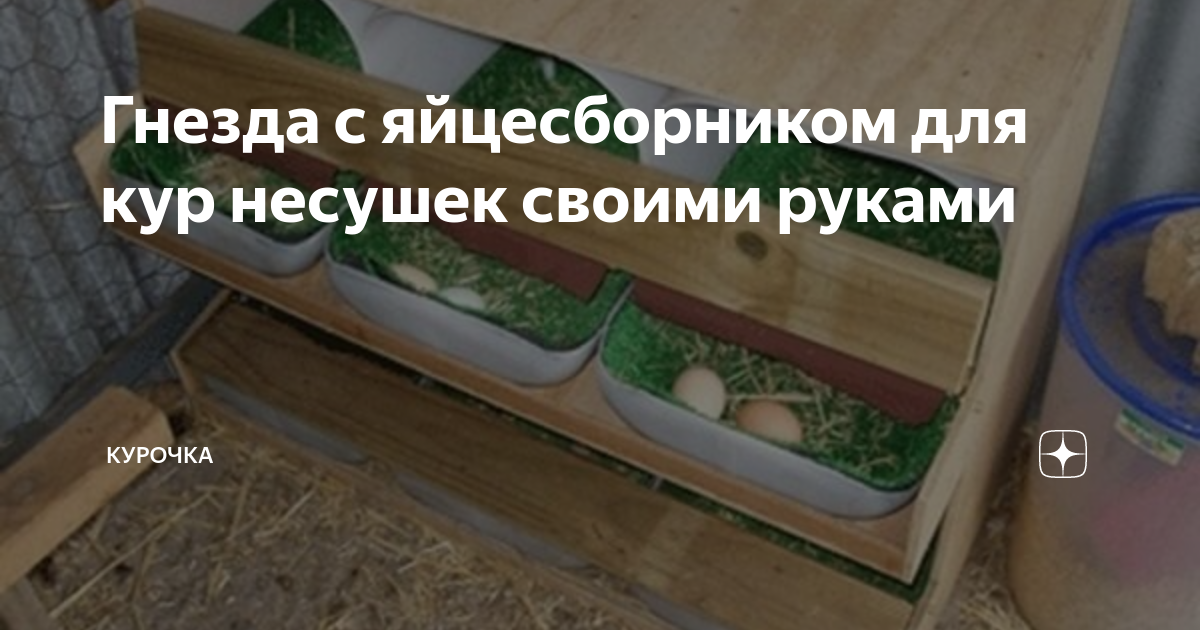 Чертеж гнезда для кур с яйцесборником своими руками