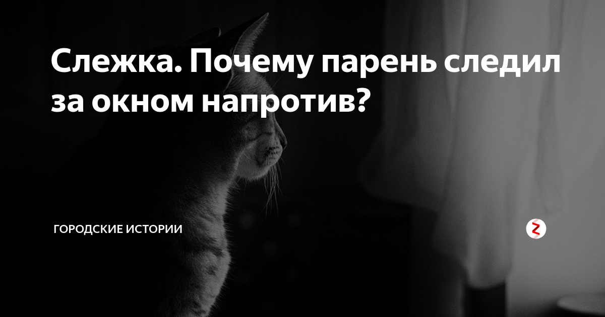 Как называется фильм где парень подглядывал за соседкой и сильно пожалел?