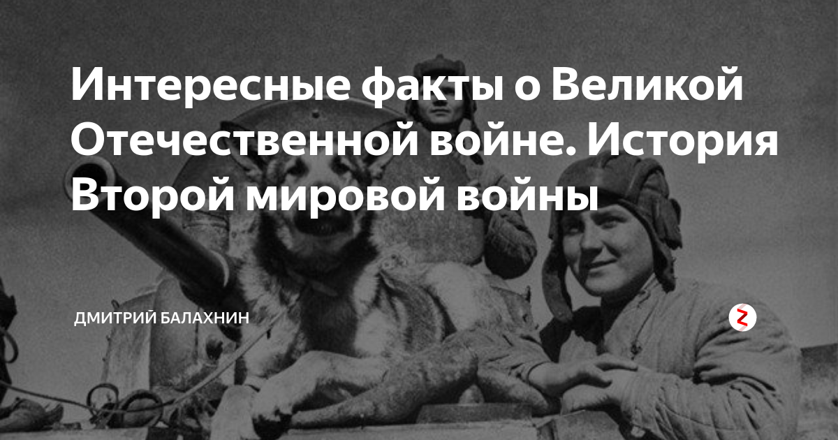 Интересные факты о великой отечественной войне в картинках