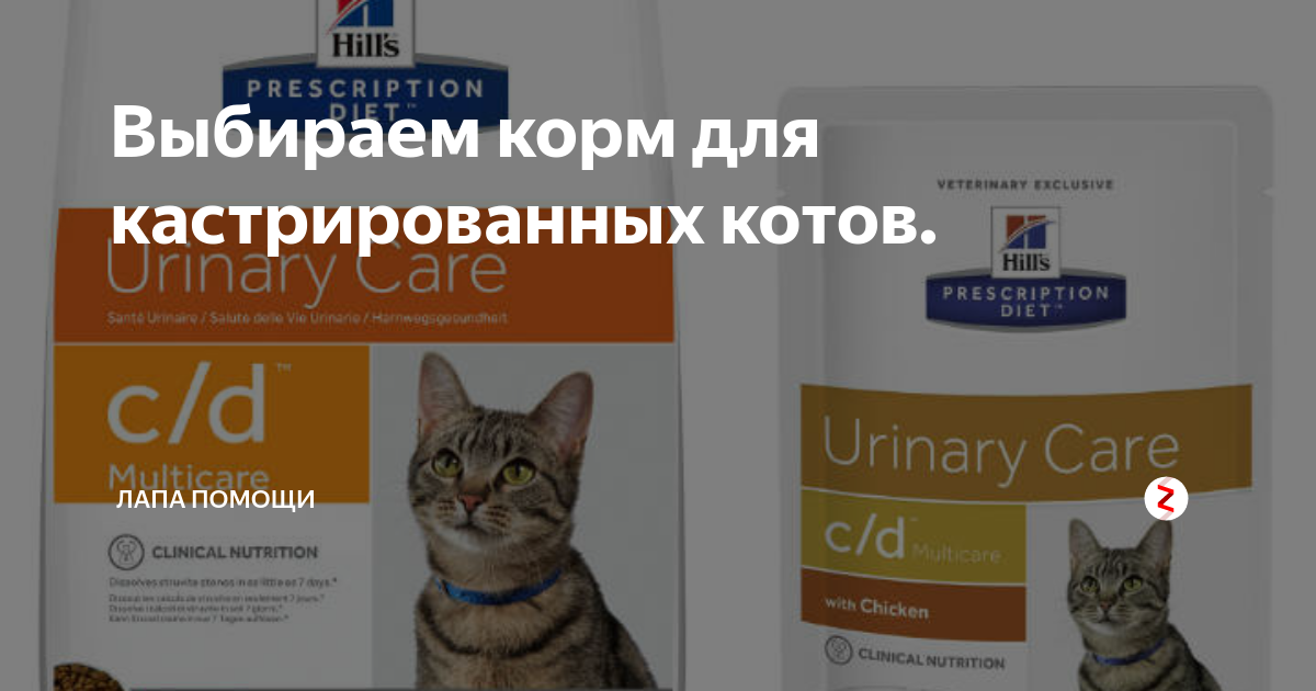 Как кормить кастрированного кота