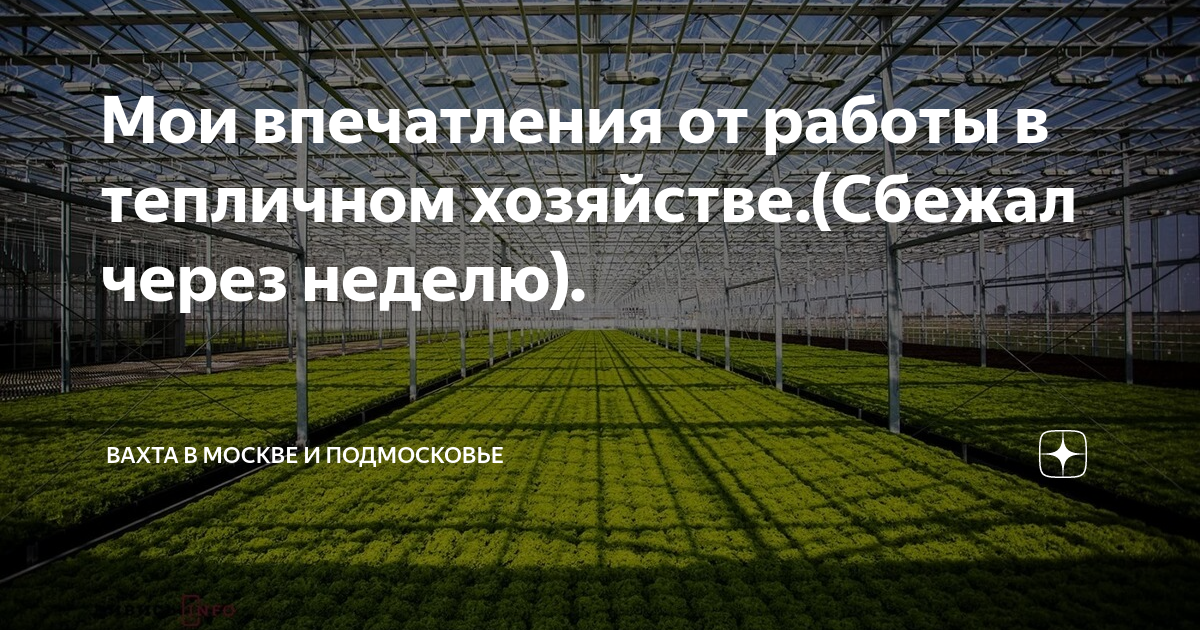 Мои впечатления от работы в тепличном хозяйстве(Сбежал через неделю