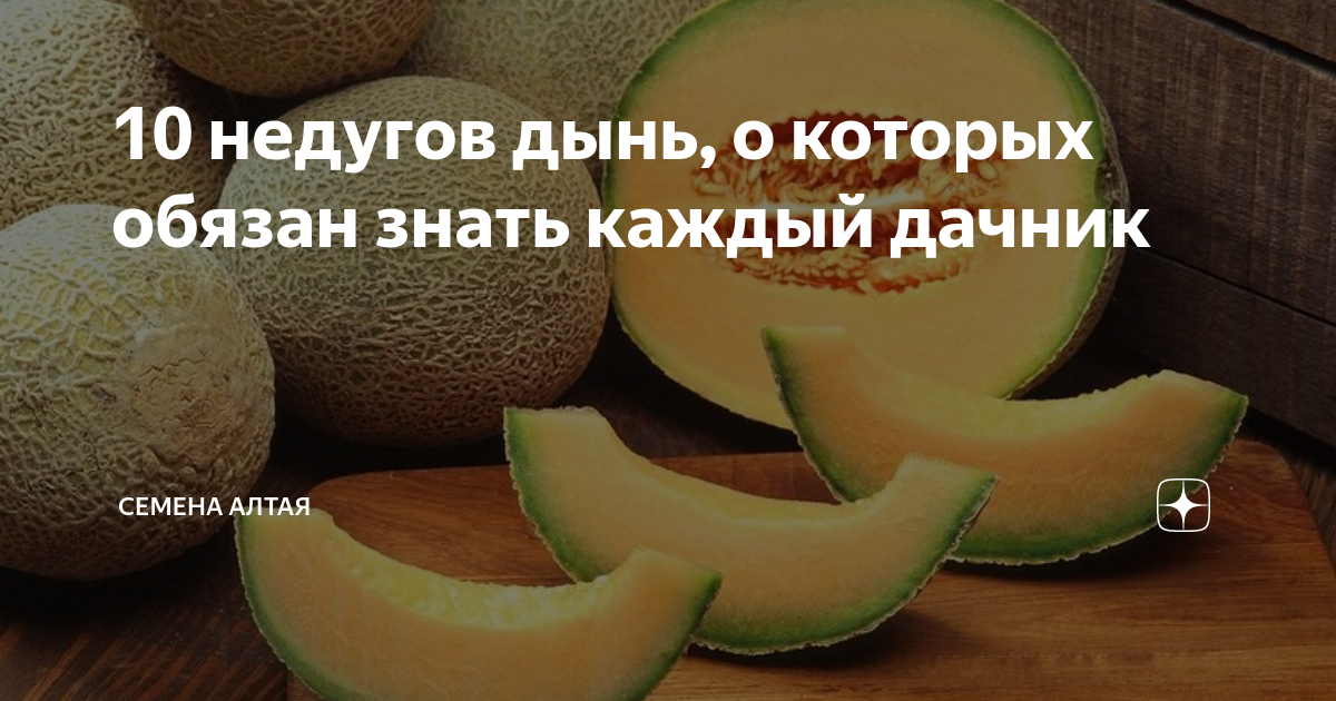 Можно ли дыню при отравлении. Можно ли дыню при отравлении
