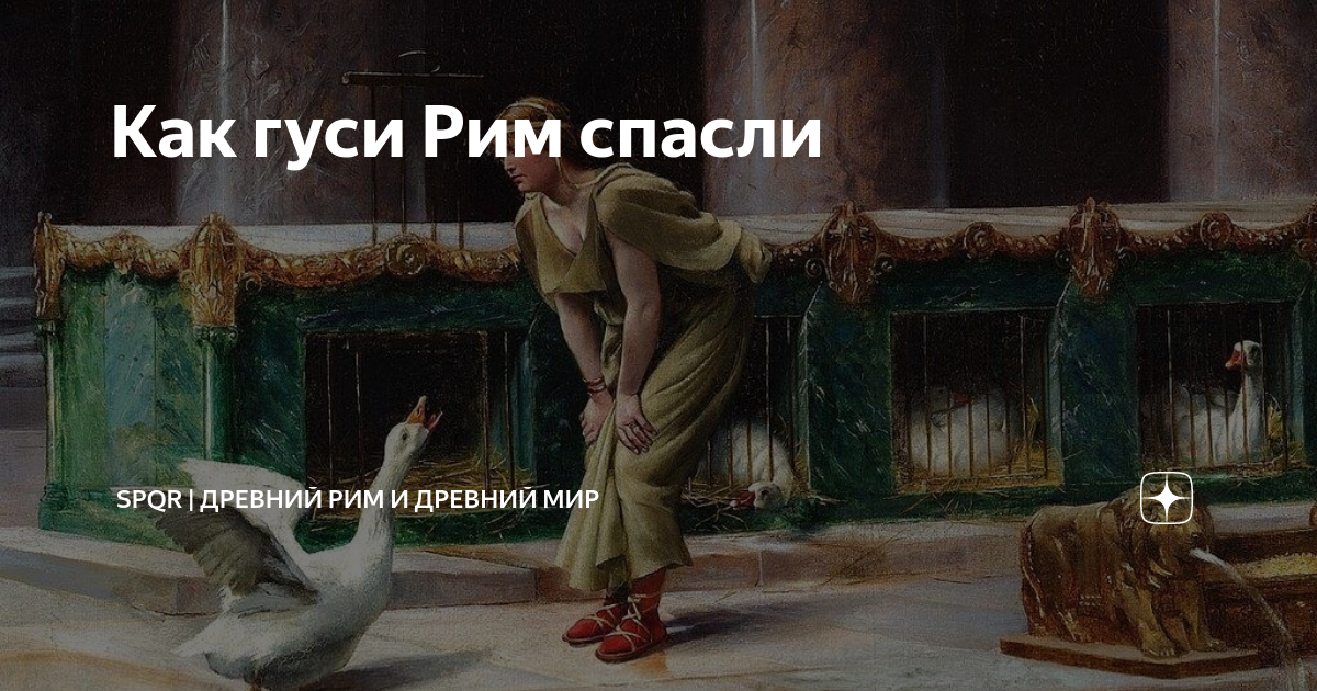 есть ли болт в риме
