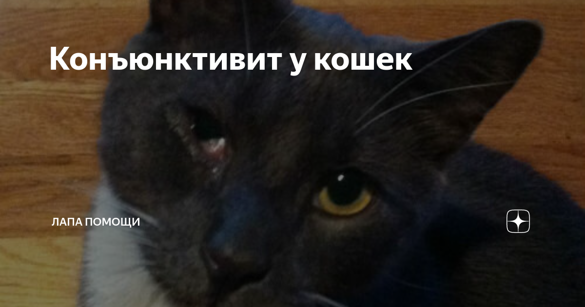 Механизм воздействия