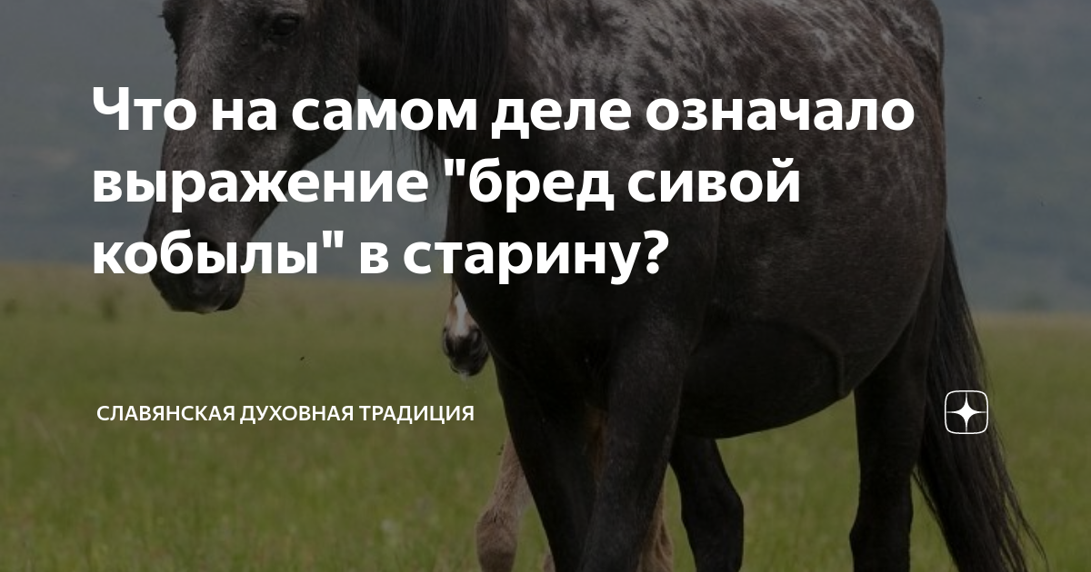 Чалая масть лошади. Сивая кобыла. Сивая масть лошади. Бред сивой кобылы картинки. Бред сивой кобылы.