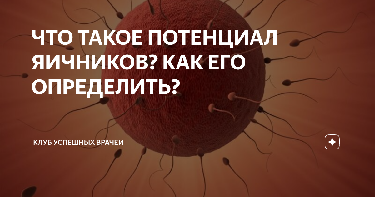 ЧТО ТАКОЕ ПОТЕНЦИАЛ ЯИЧНИКОВ? КАК ЕГО ОПРЕДЕЛИТЬ? | Клуб Успешных ...