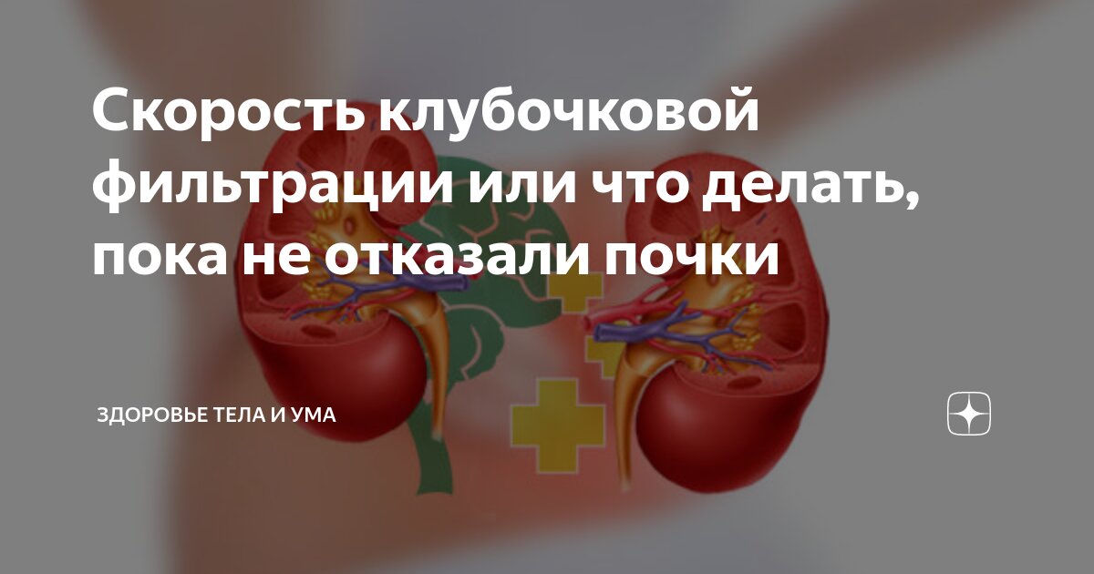сколько живут с одной почкой