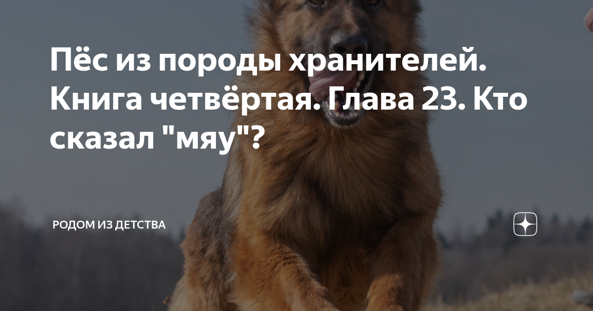 Пёс из породы хранителей. Книга четвёртая. Глава 23. Кто сказал "мяу ...