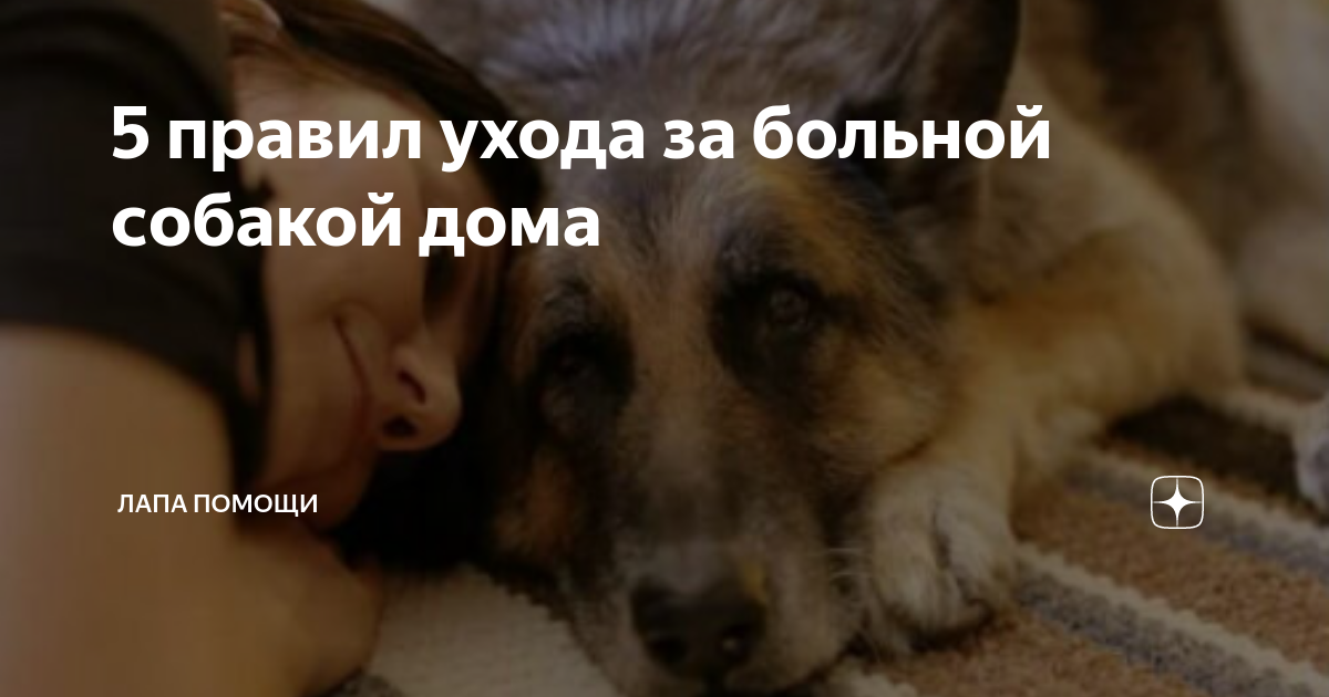 Сбалансированное питание