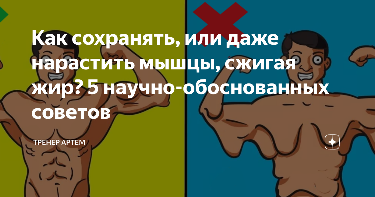 Оптимальное соотношение жиров в питании