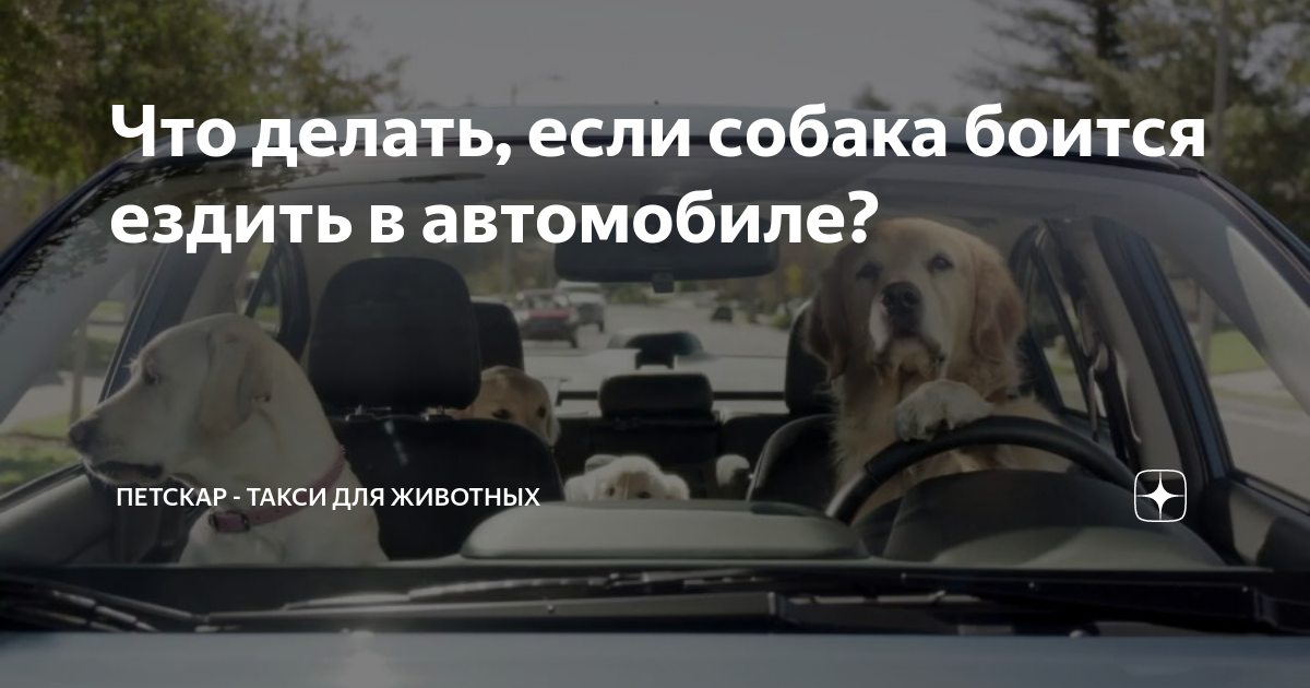 «Нет, спасибо, я ножками или на троллейбусе»: 9 причин отказаться от поездок на такси