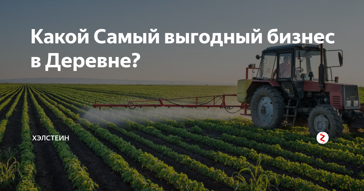 Бизнес в селе 2024. Бизнес на селе. Деревня кукуево. Бизнес идеи на селе. Бизнес в селе 2024.