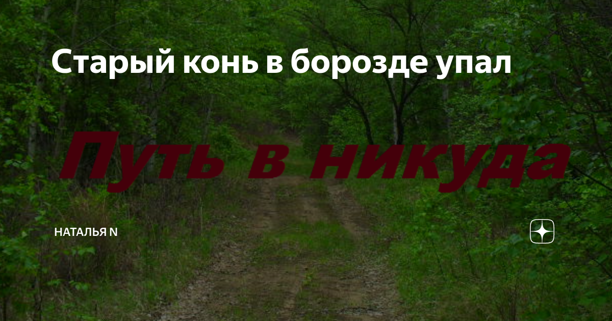 Песня старый конь борозды не. Старый конь борозды не портит. Старый конь борозды продолжение пословицы. Старый конь борозды не испортит но и глубоко не вспашет. Старый конь…. Продолжение.