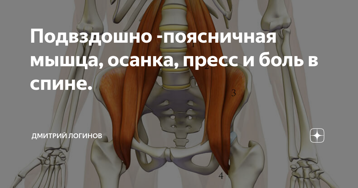 Подвздошно -поясничная мышца, осанка, пресс и боль в спине. | Движение ...