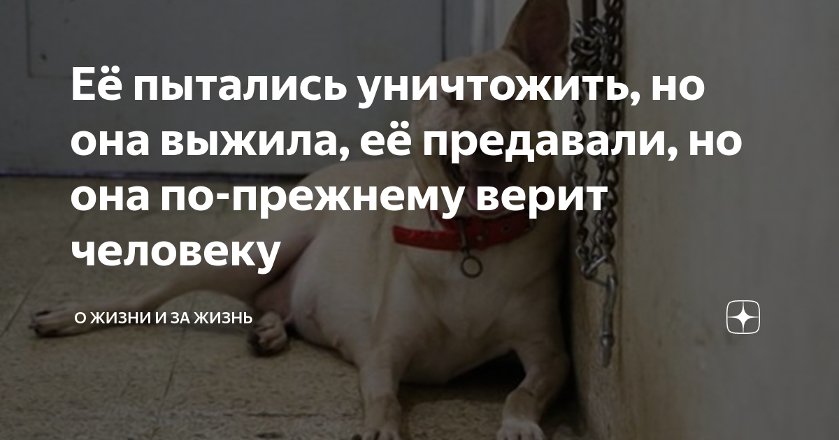 У человека нет возможности всем. По прежнему люблю. Верить по прежнему. Верить по прежнему. Терпение горькое на вкус.