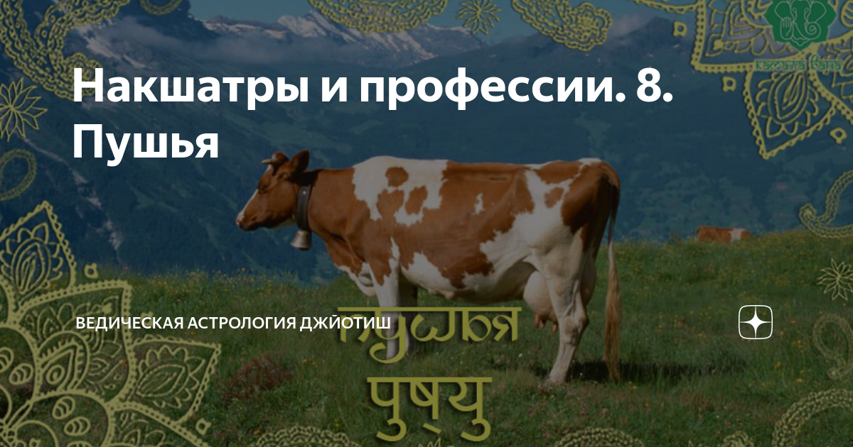 Накшатра пушья. Пушья накшатра. Пушья накшатра Джйотиш. Накшатра Пушья символ.